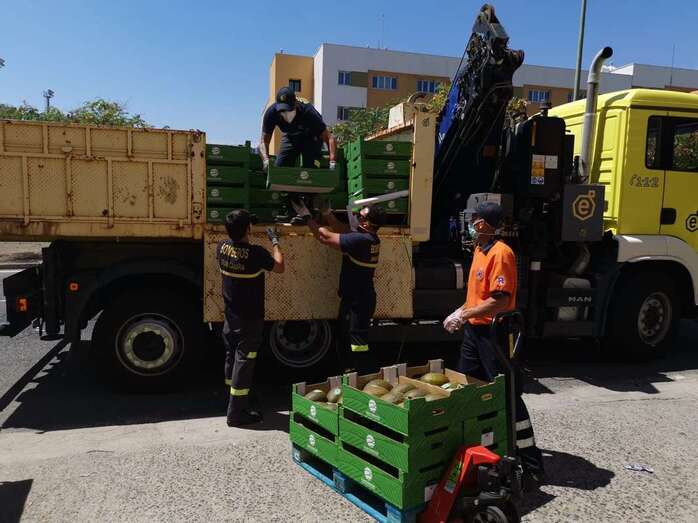 Distribución de la fruta (Foto TA)